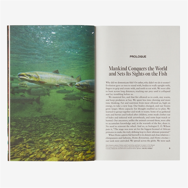 Patagonia The New Fish - Paperback Book